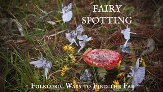 How to Spot Fairies 101 [upl. by Bolten]