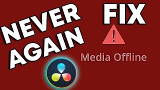 How To Fix Media Offline In Davinci Resolve 19 [upl. by Hplodnar]