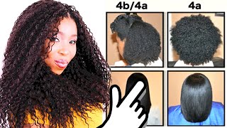 Natural Hair Types EXPLAINED In Detail w PICTURES 4C 4B amp 4A HAIR CHART [upl. by Ahsirhcal]