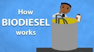 How Biodiesel Works [upl. by Hterrag]