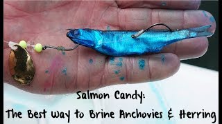 Salmon Candy The Best Way to Brine Anchovies amp Herring [upl. by Pearson704]