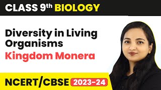 Kingdom Monera  Diversity in Living Organisms  Class 9 Biology  202324 [upl. by Ahsemo]