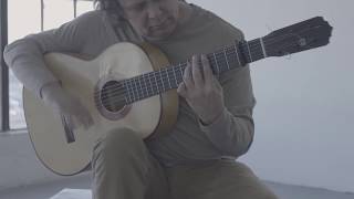 Altamira N700F Flamenco Guitar  Product Demonstration [upl. by Albric]