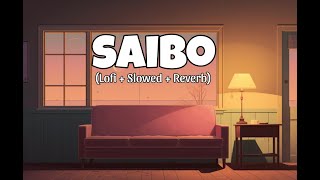 Saibo Lofi  Slowed  Reverb Song 🎧 [upl. by Aikemat554]