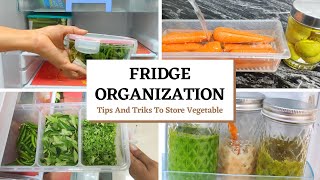 Ultimate FRIDGE ORGANIZATION  Indian small Fridge Organization  tips to store Vegetable longer [upl. by Reahard]