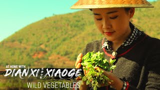 Dianxi Xiaoge Teaches Us How to Forage for Wild Greens At Home With DXXG  E5 [upl. by Tommi]