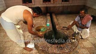 Hindu ritual performed every day in a Shiva Temple  Shivling Puja [upl. by Nerval]