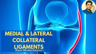 Lateral Collateral Ligament Anatomy Function Injury and Treatment [upl. by Anauqat282]