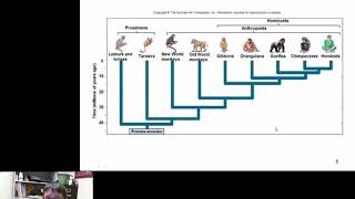 Primate Evolution [upl. by Ecneralc]