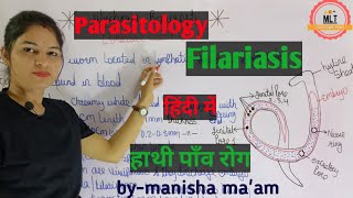 Filariasis हाथीपाँव  wuchereria bancrofti  Microfilaria  Mlt Lecture  Parasitology [upl. by Hasila493]