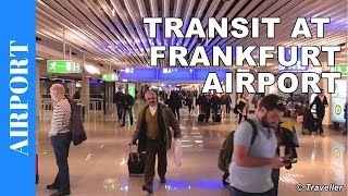 TRANSIT WALK AT FRANKFURT Airport FRA Terminal 1  Connection Flight Transfer Arriving amp Departing [upl. by Sivartal]