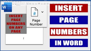 Report Writing Part 8  Page Numbers  Format  INSERT TO ANY PAGE [upl. by Wendolyn677]