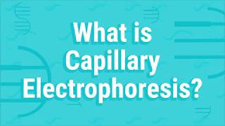 What Is Capillary Electrophoresis [upl. by Lareena]