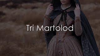 Tri Martolod  LYRICS  English Translation [upl. by Heyman]