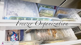 Fridge With Freezer OrganizationHome OrganizationOrganize WIth meMotivateInspireLife Coach [upl. by Ahsinauj]