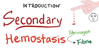 Secondary Hemostasis  How Your Blood Clots Coagulation  Hematology [upl. by Luckin]