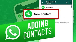 How to Add Contacts to WhatsApp from iPhone  How to Add People to Groups on WhatsApp [upl. by Cuttler]