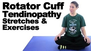 Rotator Cuff Tendinopathy Stretches amp Exercises  Ask Doctor Jo [upl. by Sliwa]