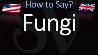 How to Pronounce Fungi [upl. by Soma]