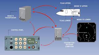 Traffic Alert And Collision avoidance System  TCAS Of Aircraft  Aircraft TCAS System  Lecture 5 [upl. by Marela]